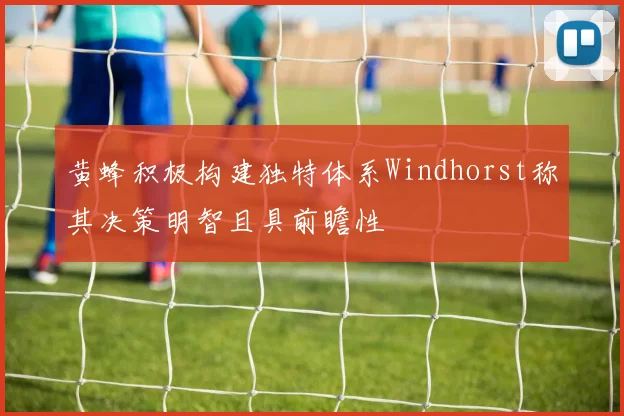 黄蜂积极构建独特体系Windhorst称其决策明智且具前瞻性